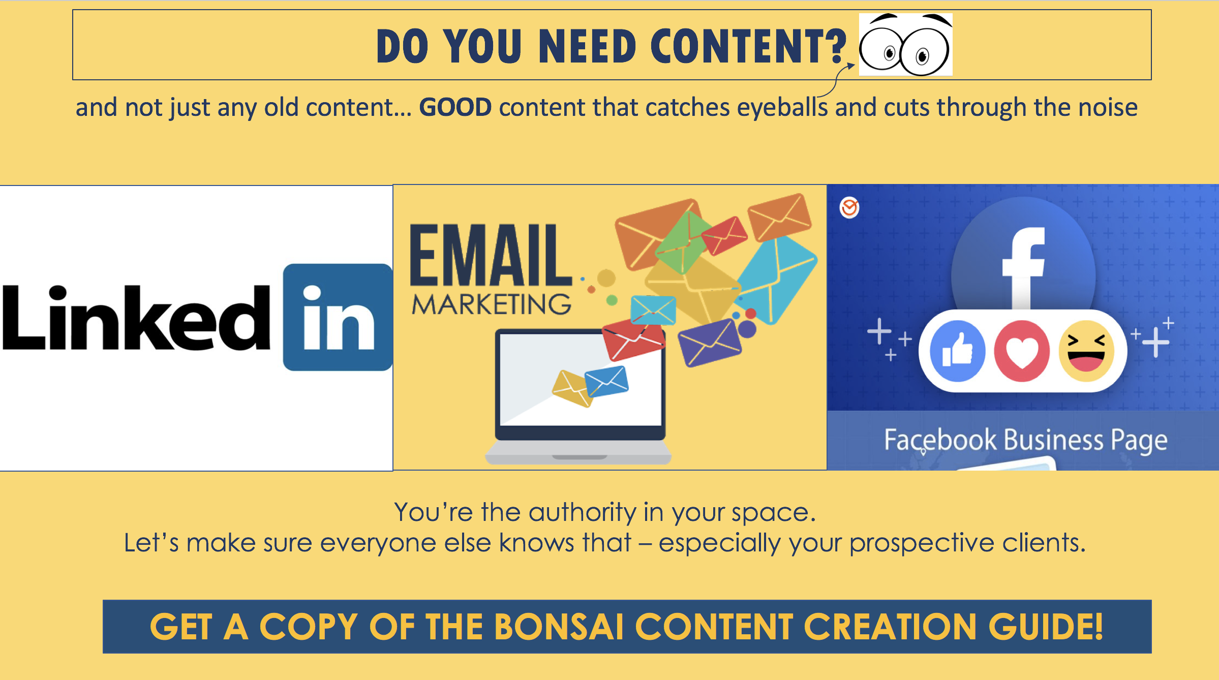 Bonsai Content Creation Guide-squeezepageimage